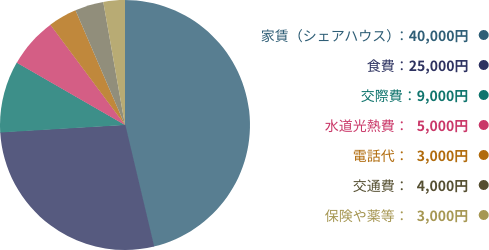 家賃（シェアハウス）50,000円 食費30,000円 交際費10,000円 水道光熱費7,000円 電話代4,000円 交通費4,000円 保険や薬等3,000円